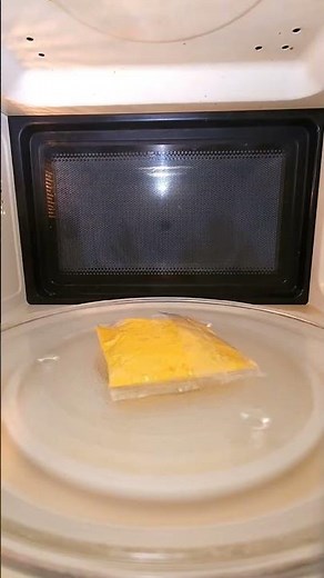 Microwave vs Cheese Slice - See what happens?