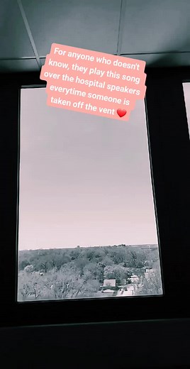 Heartwarming Hospital Moments: Sounds That Inspire