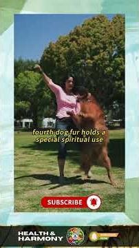 If You Have a Dog at Home, You’re Already Lucky 🐶🍀