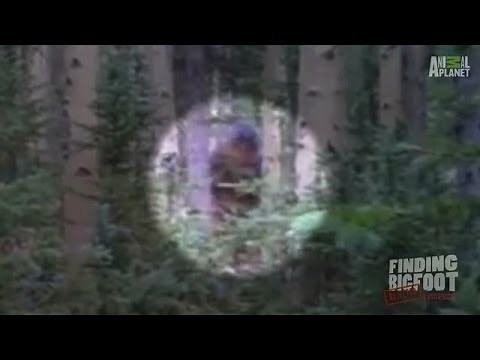 A Nonchalant Sighting in Utah | Finding Bigfoot: Rejected Evidence