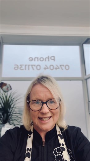 1.4K views · 25 reactions | Animals in Distress Xmas Food Raiser ...