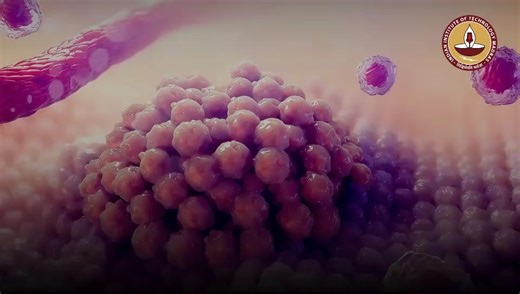 IIT Madras on Instagram: "Researchers from IIT Madras, in collaboration with Monash University and Deakin University, Australia, have developed a breakthrough precision nanoinjection platform that could transform breast cancer treatment. The innovative system combines silicon nanotubes with thermally stable nanoarchaeosomes to deliver chemotherapy drugs directly into cancer cells, significantly reducing damage to healthy tissues. By precisely injecting the drug doxorubicin into breast cancer cel