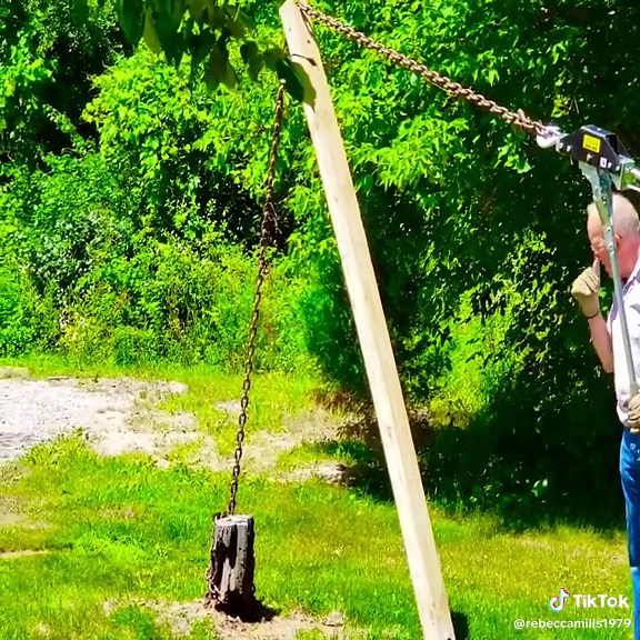 Tree stump pulling experience of pro loggers #logging #logger #loggingvideos