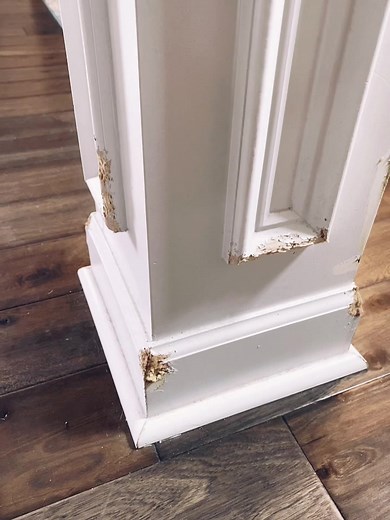 Dog Chewed Baseboard Repair Tips