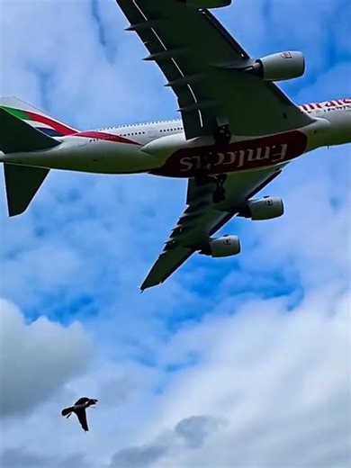 Emirates Airbus A380 | Queen of the Skies