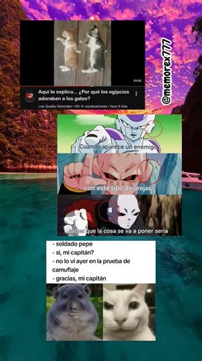 con esa oreja la cosa se pone seria 🔥
