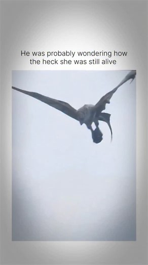 ⫷ N A G U ⫸ on Instagram: "Follow @trends__x__ for more! “Every landscape has its own rules, and not everyone survives learning them.” Predator: Badlands expands the universe by placing the hunt in a vast, unforgiving setting where isolation and environment play just as big a role as the Predator itself. The open terrain feels exposed and relentless, turning every moment into a test of awareness and instinct. Silence stretches longer, tension builds slower, and the sense of being watched never f