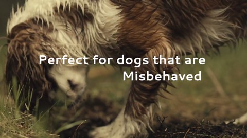 E-Collar – Educator ET-300-1/2 Mile Waterproof Remote Dog Training Collar Includes Premium Finger Clicker Trainer, 100 Programmable Levels + Vibration + Light + Sound, Black