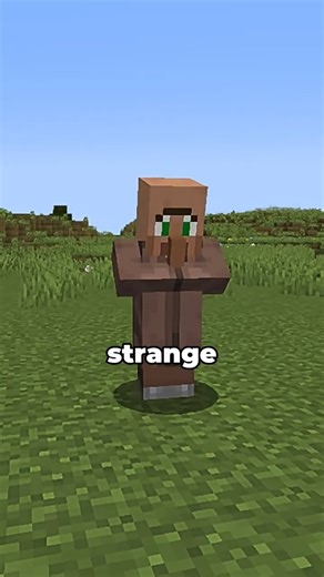 This villager is acting strange #minecraft