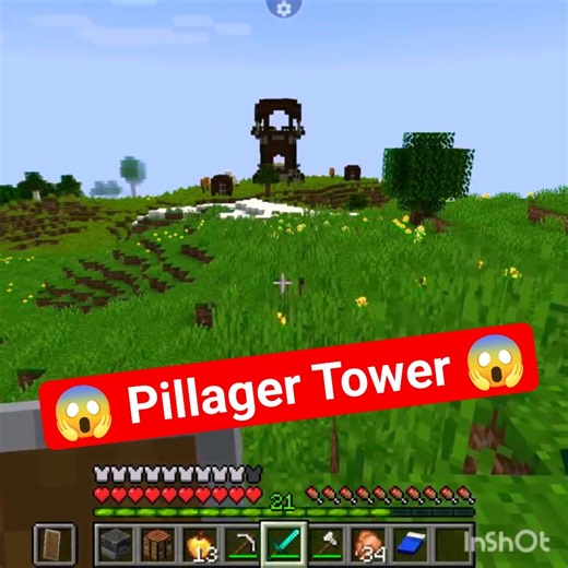 #pillagers