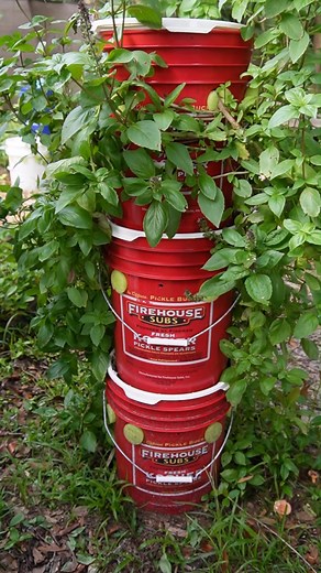 151K views · 4.3K reactions | Gamechanger for Off Grid Hydroponics ❤#diy #gardening #hydroponics | Keep on Growin' | Facebook