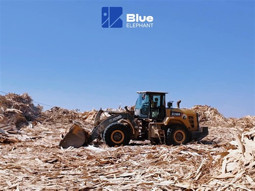 Blue elephant fiberboard manufacturing co., ltd We need a lot of wood as raw material. Please trust the strength of our factory.Ethiopia😊 🤳0949278888#log #ethiopian_tik_tok🇪🇹🇪🇹🇪🇹🇪🇹