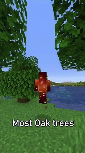 How to GUARANTEE a Big Oak Tree in Minecraft... #Shorts
