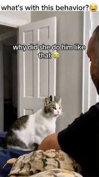 Top 8 Funny Car Reactions 😂 | Car Memes Compilation