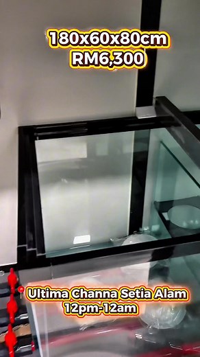 32K views · 270 reactions | PM 6ft套缸 Ultima Channa Setia Alam 12pm-12am #套缸王 | Ultima Channa- “The Jumping Fish Doctor” 跳缸王 | Facebook