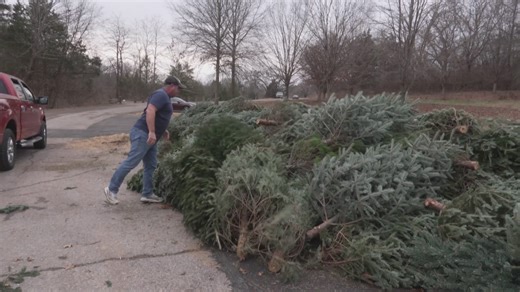 Kentucky officials highlight Christmas tree drop off sites