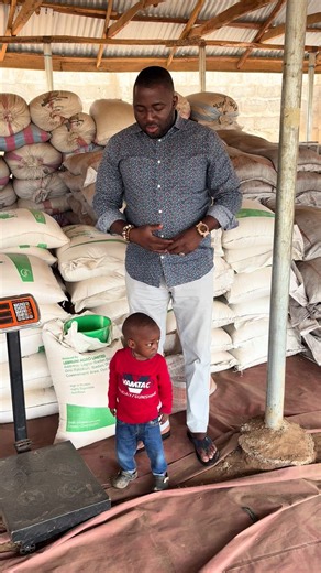 Understanding Industrial Soybean Meal, Palm Kernel Cake, and Soya Hull