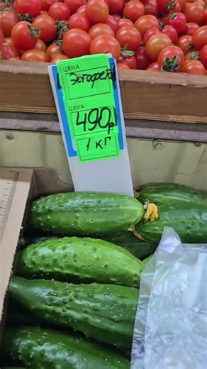 УЖАС!!!!!ОГУРЦЫ ДОРОЖАЮТ КАК НЕФТЬ!!!😳😳😳😱🤯🤯🤯