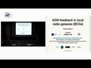 AGN Feedback in Local Radio Galaxies