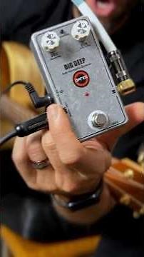 Acoustic Guitar with Octave Pedal❤️ #acoustic #guitar #octave #musicians #livemusic #acousticguitar