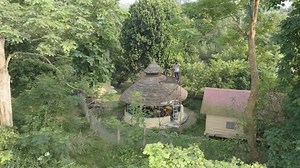 Resolving human-tiger conflict in Nepal | CNN