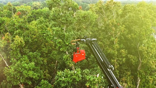 Thank you to our friends at Richardson Insurance Group and @glbalmedia for this awesome video highlighting what we do every day!! | Wolff Tree and Landscape, LLC