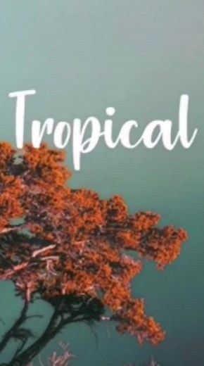 SL - Tropical (slowed reverb) Full song on my YouTube