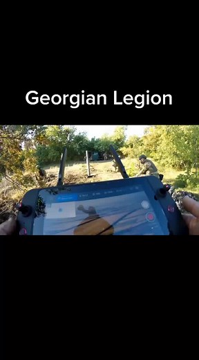 Georgian Legion