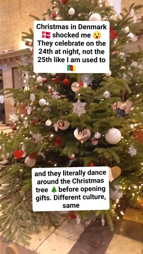 Christmas in Denmark shocked me 😮 They celebrate on the 24th at night, not the 25th like I am used to and they literally dance around the Christmas tree 🎄before opening gifts. Different culture, same Christmas 🎅🇨🇲🇩🇰 #fblifestyle #denmark #fbreels #foryou #viralreels | Lum Pedersen's Family