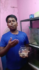 😨மீனுக்கு தூக்க மாத்திரையை வேணுமா😂#tamil #shorts #aquarium