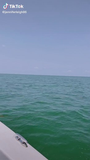 Headed out to scallop in Homosassa! #florida #floridacheck #homosassa #scalloping #scallopingseason #scalloping2021 #boating #summerfun