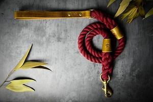 Burgundy Cotton Rope Dog Lead: Full-grain Leather Handle, Brass Hardware - Etsy