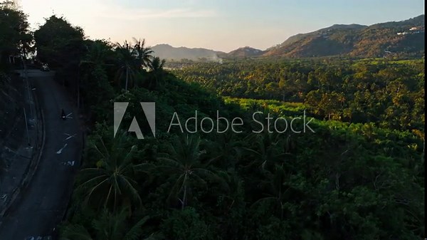 Curve road on forest side with hills on it sides
