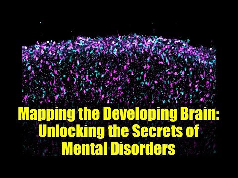 Mapping the Developing Brain: Unlocking the Secrets of Mental Disorders