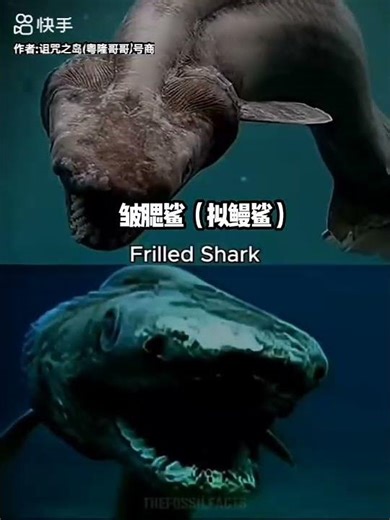 🎥🦴 Living Legends: Ancient Animals That Survived the Ages
