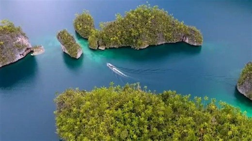 Wisata Papua Barat di Kaimana: Ada Teluk Triton yang Punya Atraksi Hiu Paus hingga Karya Prasejarah - Tribunpapuabarat.com