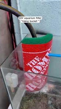 DIY Aquarium corner filter "using bucket" #DIy #aquarium #shortsvideo #shortsfeed #reels