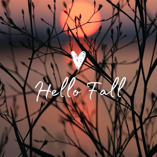 Phone Wallpaper, 5-pack Hello Fall, Fall Wallpaper, iPhone Wallpapers, Mobile Phone Autumn Wallpaper, Aesthetic Wallpaper, Nature Wallpaper - Etsy