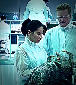 73K views · 1.4K reactions | The Predator #clips #movieclips #moviereels #movie #alien #alienvspredator #predator #movieclassics #edit | Retro Movie 2.0 | Facebook