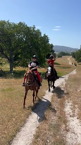 11K views · 164 reactions | Get ready for an unforgettable adventure...