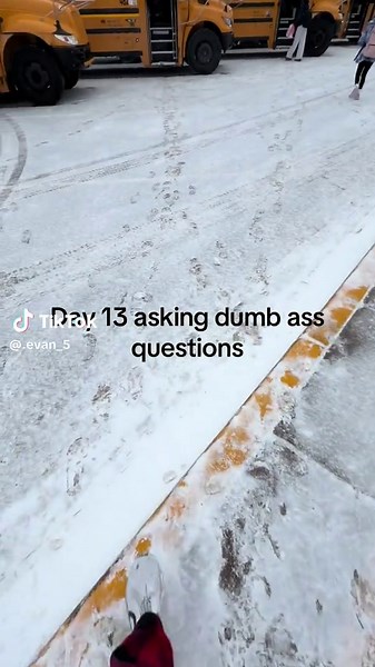 Really? #askingdumbquestions #busdriver #day13 | bus driver