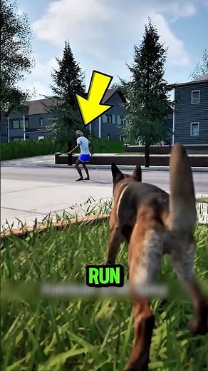 NEVER Run From an Aggressive Dog 😳🐕