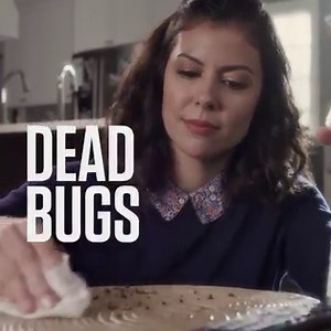 Safe when used as directed, deadly to bugs, and doesn’t offend the nose. Meet Zevo. | Zevo