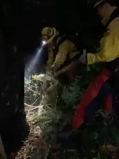 CAL FIRE CZU on Instagram: "From AI to Rapid Response: Around 5:00 PM this evening, CAL FIRE CZU Felton Emergency Command Center (ECC) staff received both an email and a text notifying them of an anomaly on the Eagle Rock Lookout 2 camera on the Alert California network. The message also provided a latitude and longitude, and the camera offered a quick visual that helped to guide the response. With precise location data and a visual confirmation, CAL FIRE dispatched a Battalion Chief and three e