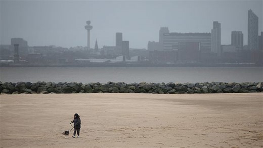 Dying dog has final zoomies on golden beach