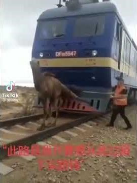 8776ecb1ccc08248aad9273d6cb154d8