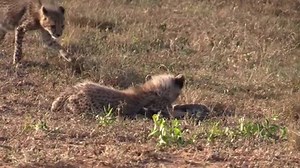 2K views · 125 reactions | Take a little Sunday moment to enjoy these...