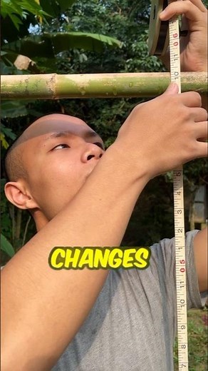 Grow Taller in 7 Days with Hanging? | 6’6” Method & 188cm Formula Test! #shorts