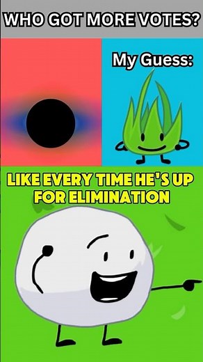 Which BFDI Character Got More Votes?