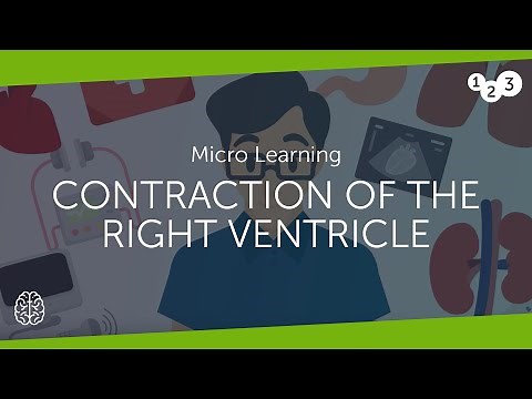 Contraction of the right ventricle